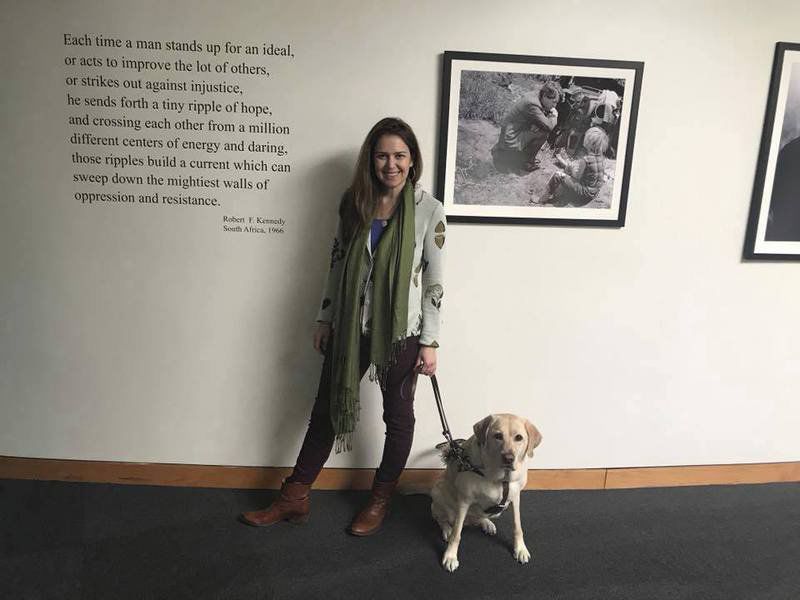 Doggone confusion over service, support animals